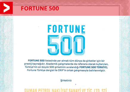 DUMAN PETROL FORTUNE 500